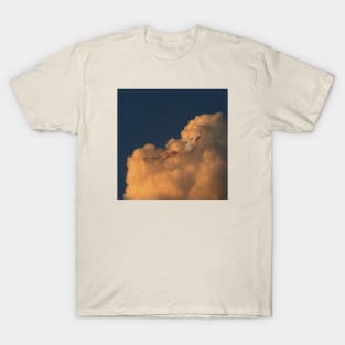 Tanning in the clouds T-Shirt